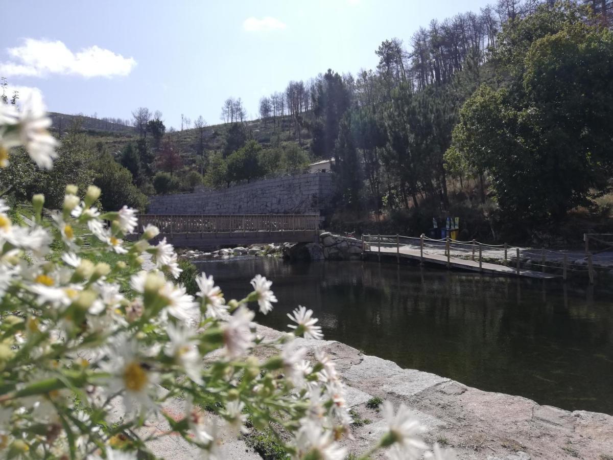 Sambuc'Asa - Serra Da Estrela Sabugueiro  Luaran gambar