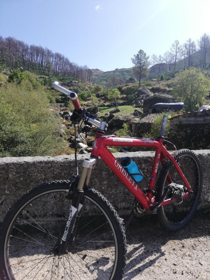 Sambuc'Asa - Serra Da Estrela Sabugueiro  Luaran gambar