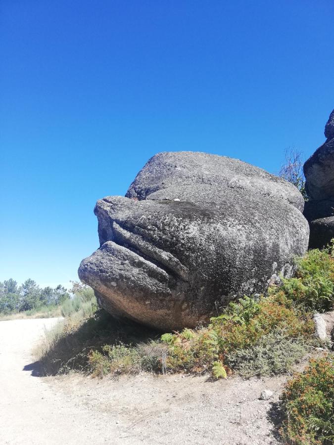 Sambuc'Asa - Serra Da Estrela Sabugueiro  Luaran gambar