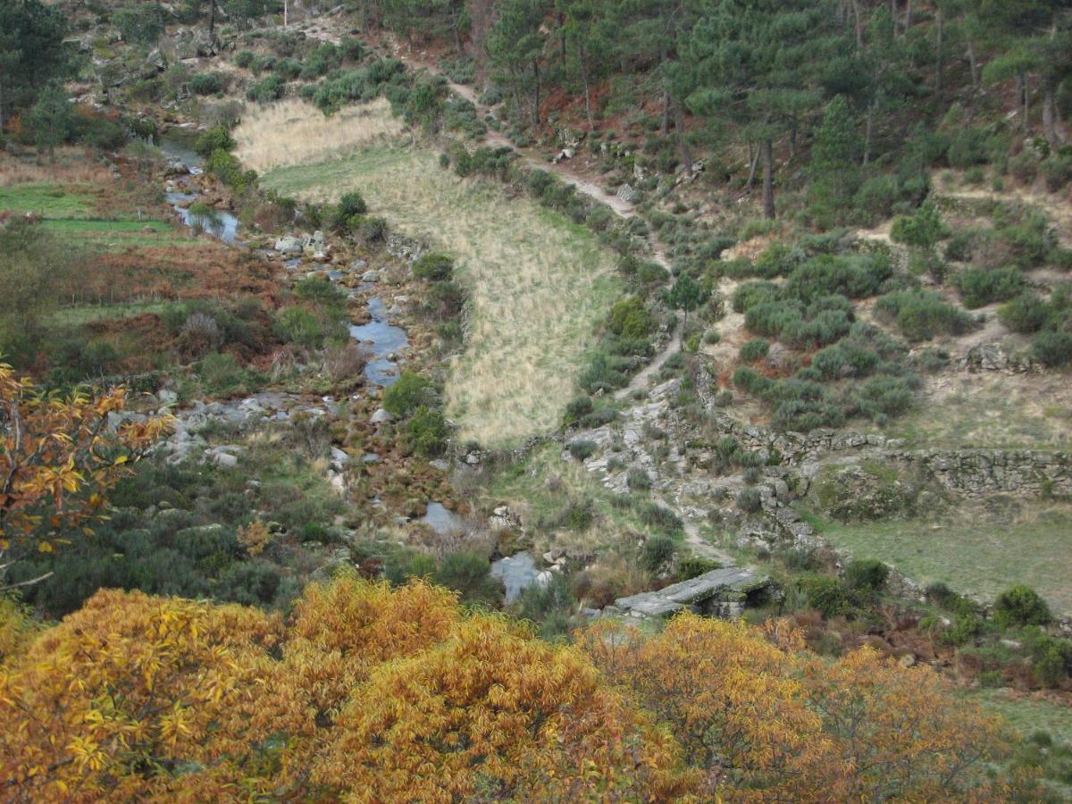 Sambuc'Asa - Serra Da Estrela Sabugueiro  Luaran gambar