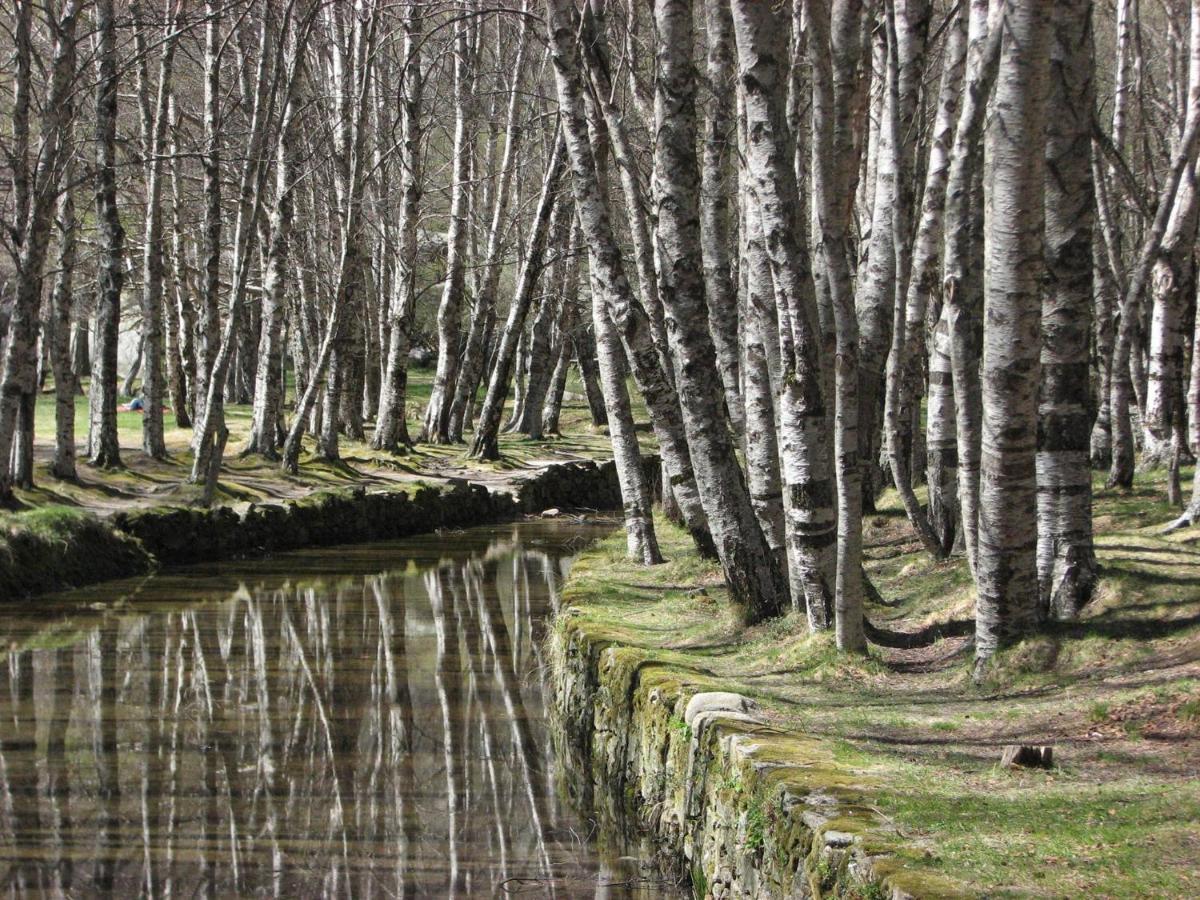 Sambuc'Asa - Serra Da Estrela Sabugueiro  Luaran gambar