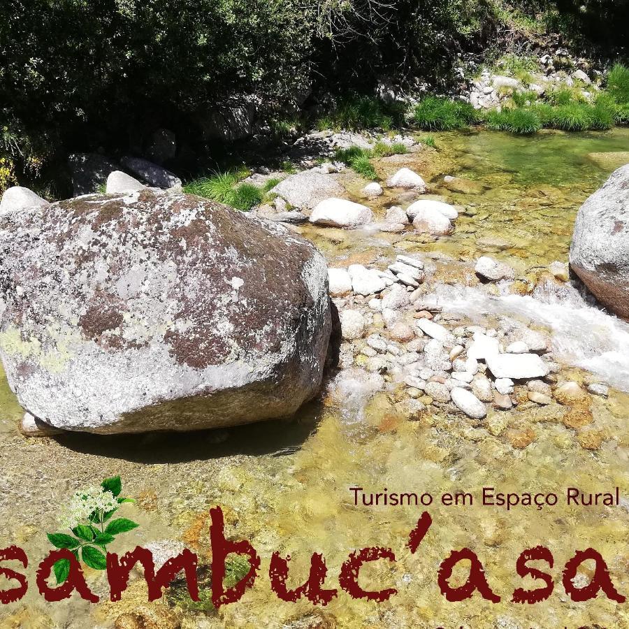 Sambuc'Asa - Serra Da Estrela Sabugueiro  Luaran gambar